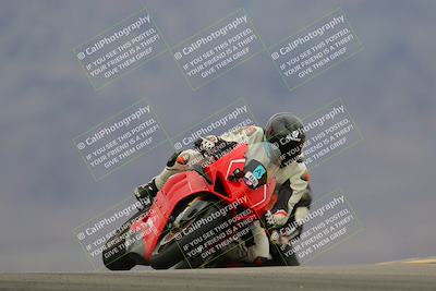 media/Jan-15-2023-SoCal Trackdays (Sun) [[c1237a034a]]/Turn 9 (2pm)/